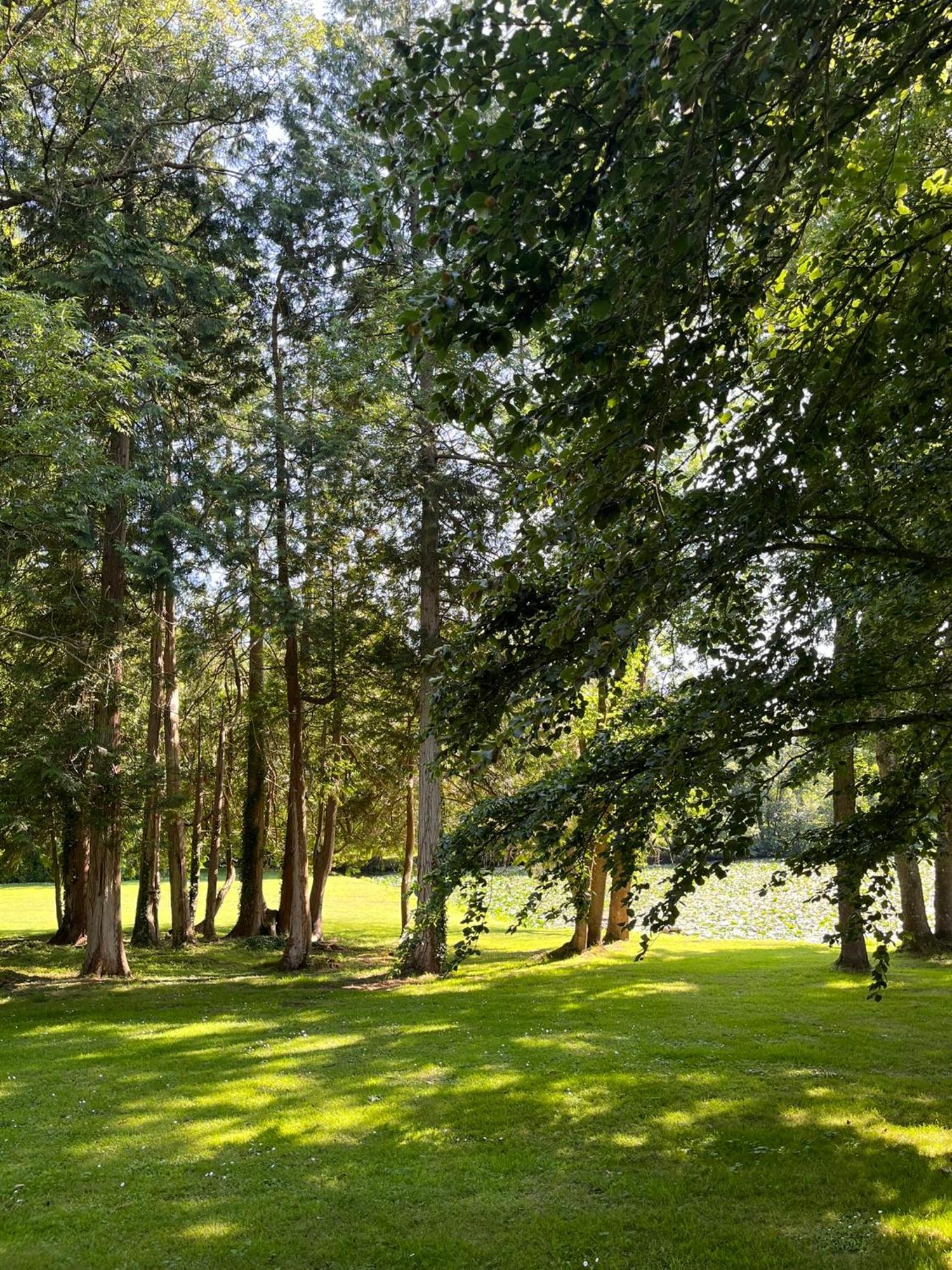 Abbaye De Blanchelande Bed and Breakfast Neufmesnil Εξωτερικό φωτογραφία